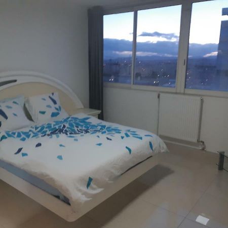 Appartement Laurent Bonnevay Βιλερμπάν Εξωτερικό φωτογραφία
