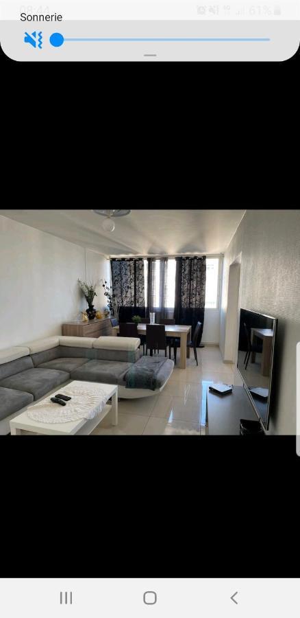 Appartement Laurent Bonnevay Βιλερμπάν Εξωτερικό φωτογραφία